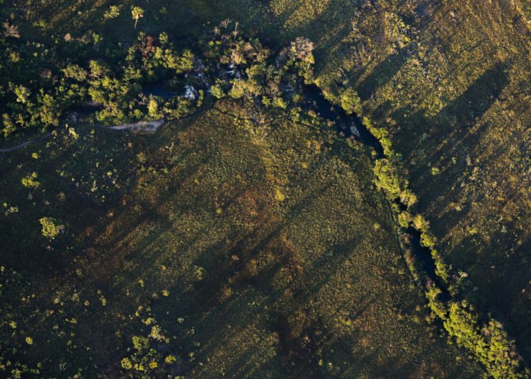 Crédito rural para projetos sustentáveis terá juros reduzidos a partir de 2026