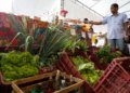 Decreto adia para 2027 a obrigatoriedade de CNPJ para autônomos e produtores rurais