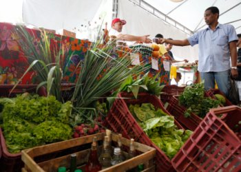 Decreto adia para 2027 a obrigatoriedade de CNPJ para autônomos e produtores rurais