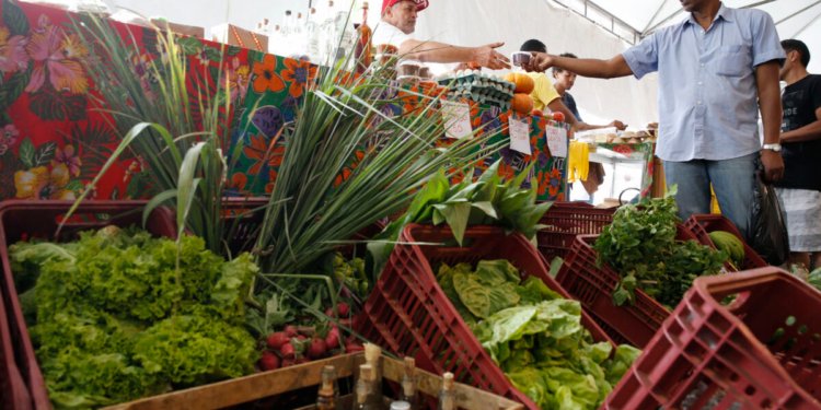 Decreto adia para 2027 a obrigatoriedade de CNPJ para autônomos e produtores rurais