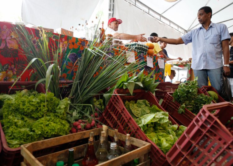 Decreto adia para 2027 a obrigatoriedade de CNPJ para autônomos e produtores rurais