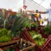 Decreto adia para 2027 a obrigatoriedade de CNPJ para autônomos e produtores rurais