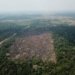 Desmatamento na Amazônia recua 35% em junho e consolida tendência de queda no ano