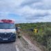 Dois morrem e 23 ficam feridos após ônibus de romeiros tombar na CE-456 em Canindé no Ceará