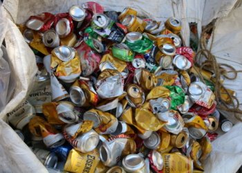 Economia circular é desconhecida por quase 40% dos brasileiros, aponta pesquisa