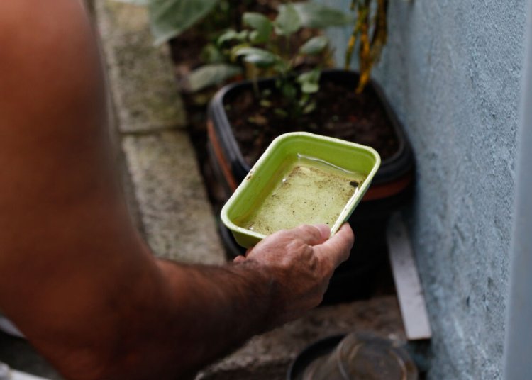El Niño ameaça elevar surtos de dengue e chikungunya em todo o território nacional