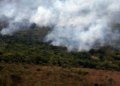 Emissões globais de carbono por incêndios atingem o menor patamar em 24 anos