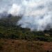 Emissões globais de carbono por incêndios atingem o menor patamar em 24 anos