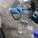 Estratégia Nacional reduz em 50% a dependência externa de insumos e garante soberania na saúde
