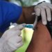 Fluprevli recebe aval da Anvisa para imunização contra influenza com eficácia de 73%