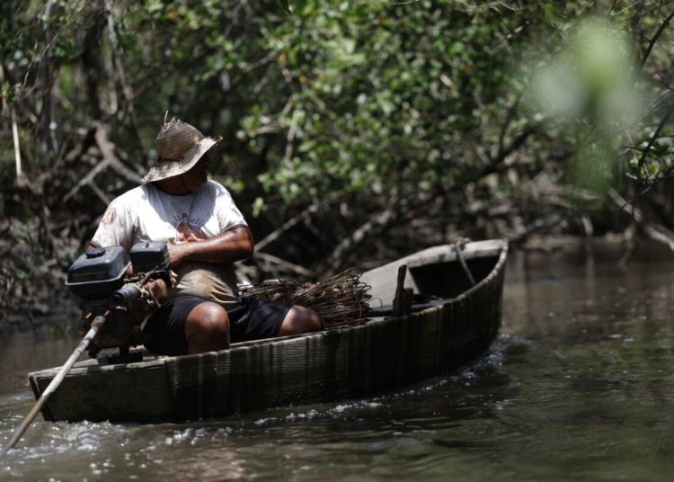 INSS libera R$ 874,5 milhões em benefícios para mais de 149 mil pescadores artesanais