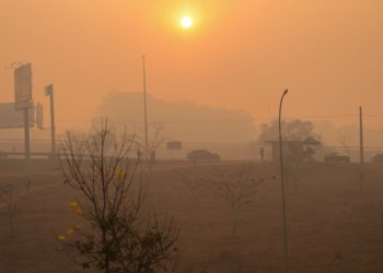 Massa de ar frio traz geada para o Sul e derruba temperaturas no feriado de São Paulo
