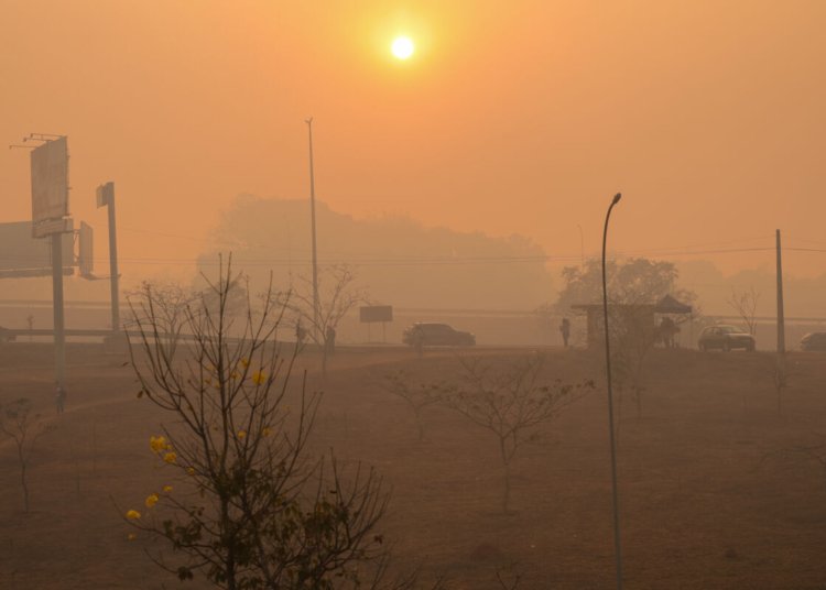 Massa de ar frio traz geada para o Sul e derruba temperaturas no feriado de São Paulo