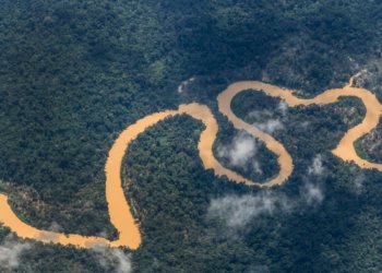 Noruega e Brasil reforçam cooperação ambiental enquanto se preparam para duelo na Copa 2026