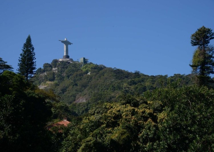 Parque Nacional da Tijuca celebra 65 anos com ampla programação cultural e ambiental