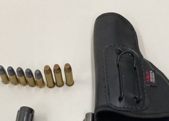 Prisão de mulher em Guarapari revela arsenal, animais maltratados e criança abandonada