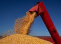 Produção nacional de grãos alcançará 347,4 milhões de toneladas em 2026