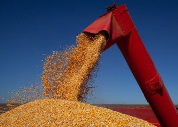 Produção nacional de grãos alcançará 347,4 milhões de toneladas em 2026