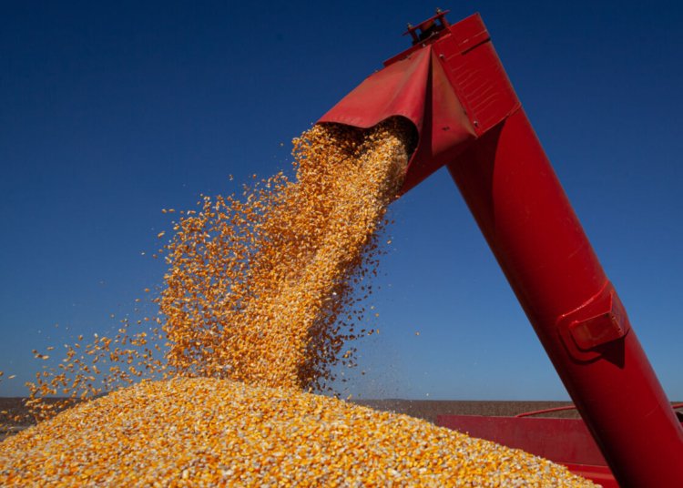 Produção nacional de grãos alcançará 347,4 milhões de toneladas em 2026