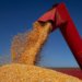 Produção nacional de grãos alcançará 347,4 milhões de toneladas em 2026
