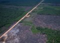 Queda no desmatamento da Amazônia desafia justificativa americana para novas tarifas