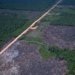 Queda no desmatamento da Amazônia desafia justificativa americana para novas tarifas