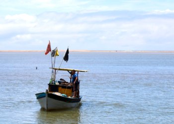 Seguro-defeso começa a ser pago para mais de 149 mil pescadores com valores retroativos
