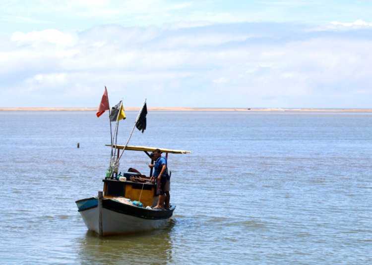 Seguro-defeso começa a ser pago para mais de 149 mil pescadores com valores retroativos