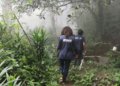 Seleção temporária do IBGE encerra prazo de inscrições nesta quinta-feira às 14h