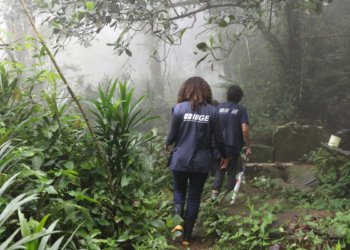 Seleção temporária do IBGE encerra prazo de inscrições nesta quinta-feira às 14h