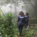Seleção temporária do IBGE encerra prazo de inscrições nesta quinta-feira às 14h