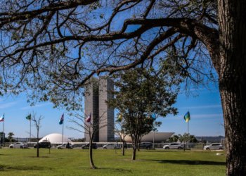 Senado endurece penas para crimes sexuais online contra menores e amplia proteção digital