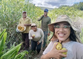 Sociobioeconomia ganha força no PIB e atrai plano bilionário para destravar crédito