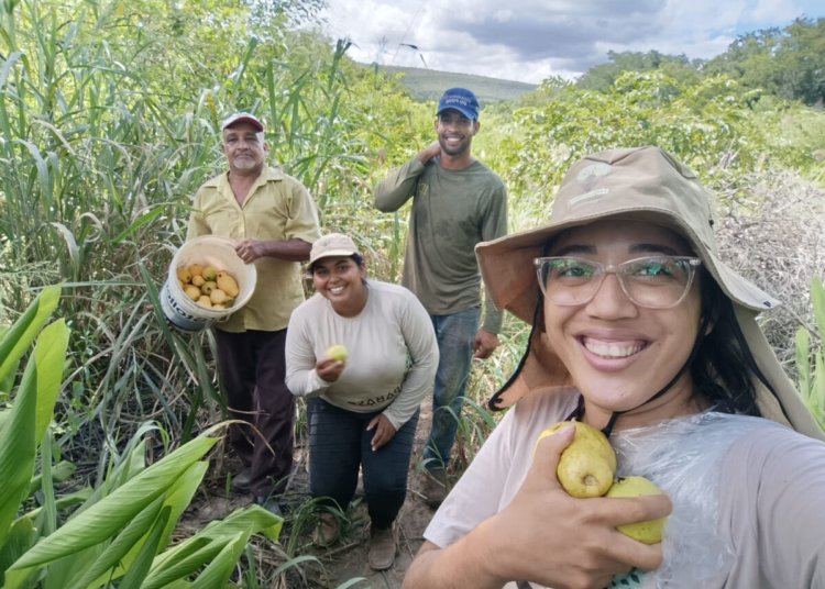 Sociobioeconomia ganha força no PIB e atrai plano bilionário para destravar crédito