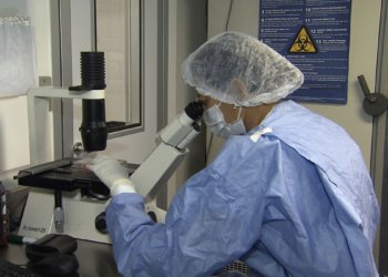 Transplantes de células-tronco levam mais dois pacientes à remissão do HIV