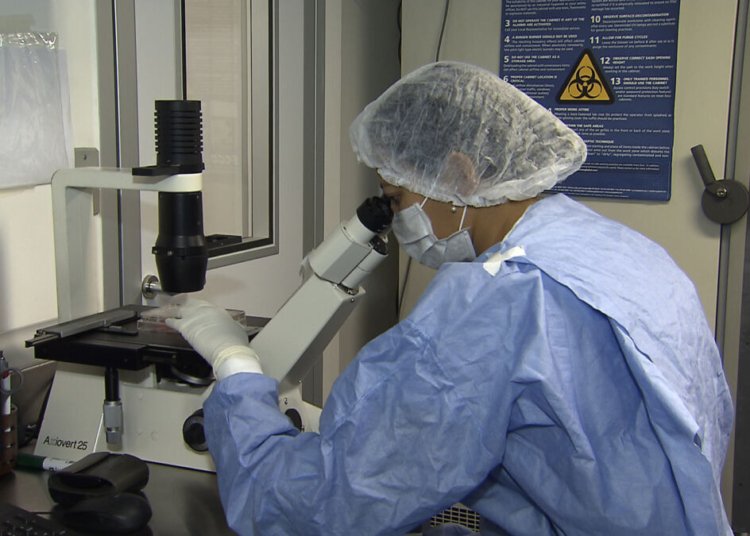 Transplantes de células-tronco levam mais dois pacientes à remissão do HIV