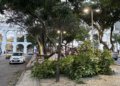 Vendaval deixa milhares sem energia no Rio de Janeiro e mobiliza reparos emergenciais