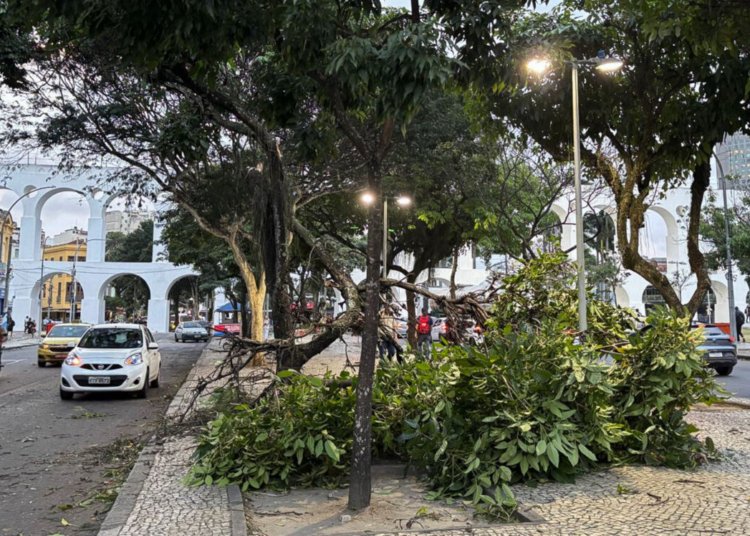 Vendaval deixa milhares sem energia no Rio de Janeiro e mobiliza reparos emergenciais