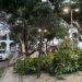 Vendaval deixa milhares sem energia no Rio de Janeiro e mobiliza reparos emergenciais
