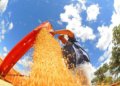 Atividade econômica medida pelo IBC-Br registra retração de 0,6% em junho