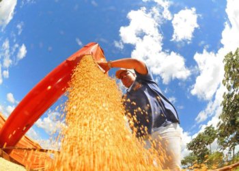 Atividade econômica medida pelo IBC-Br registra retração de 0,6% em junho
