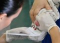 Atraso na triagem neonatal pelo SUS impede diagnóstico precoce de pacientes com AME