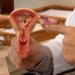 CNPq lança edital de R$ 60 milhões para projetos voltados à endometriose e saúde menstrual