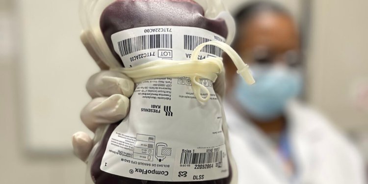 Junho Vermelho é instituído por lei para ampliar a coleta de sangue em todo o país