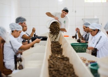 Mercosul e União Europeia encerram prazo de 48 horas para indicar bens sustentáveis ao acordo