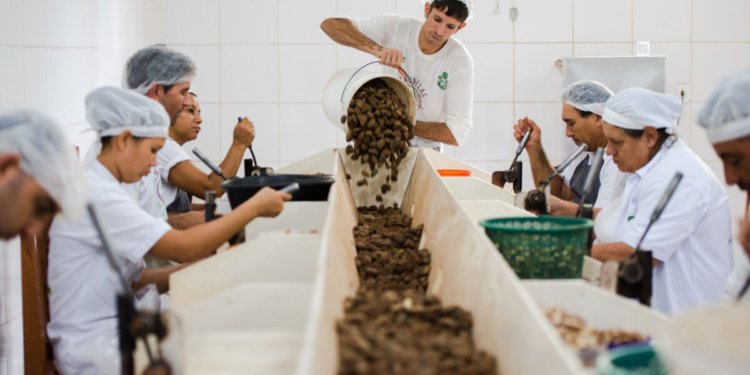 Mercosul e União Europeia encerram prazo de 48 horas para indicar bens sustentáveis ao acordo