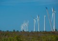 Nordeste inicia mapeamento para consolidar transição a uma economia de baixo carbono