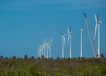 Nordeste inicia mapeamento para consolidar transição a uma economia de baixo carbono