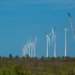 Nordeste inicia mapeamento para consolidar transição a uma economia de baixo carbono