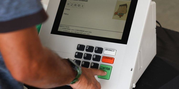 OEA confirma envio de observadores internacionais para acompanhar eleições gerais brasileiras